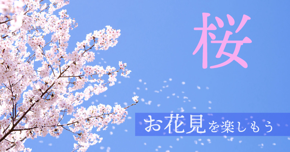 桜アイキャッチ画像
